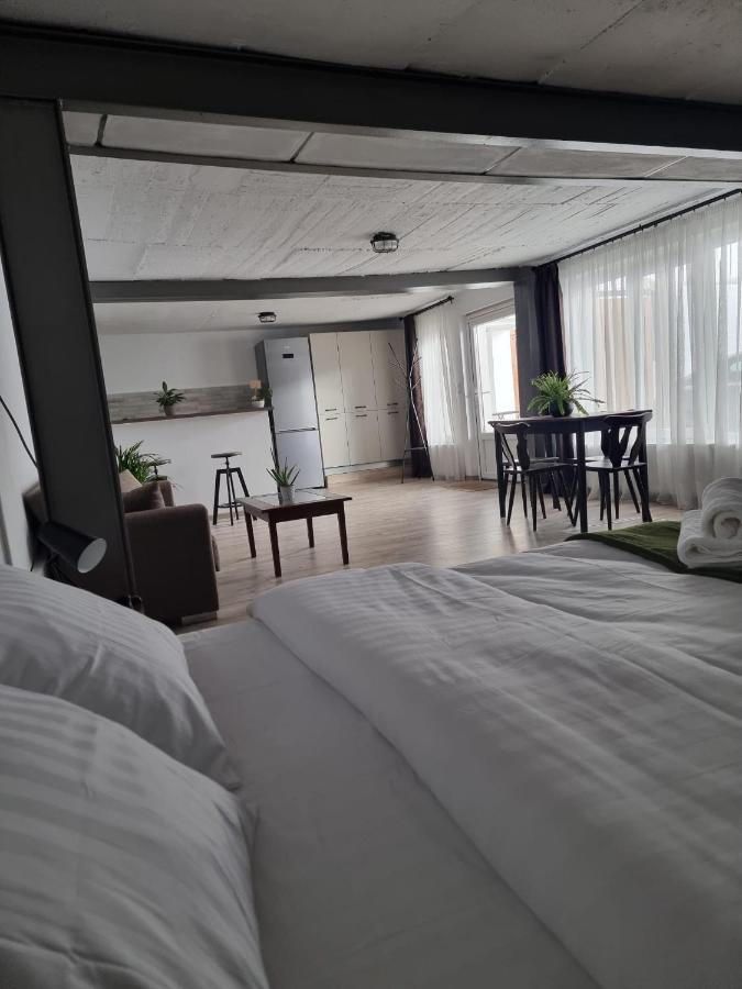 The Cozy Bunker Apartment ซีบิว ภายนอก รูปภาพ
