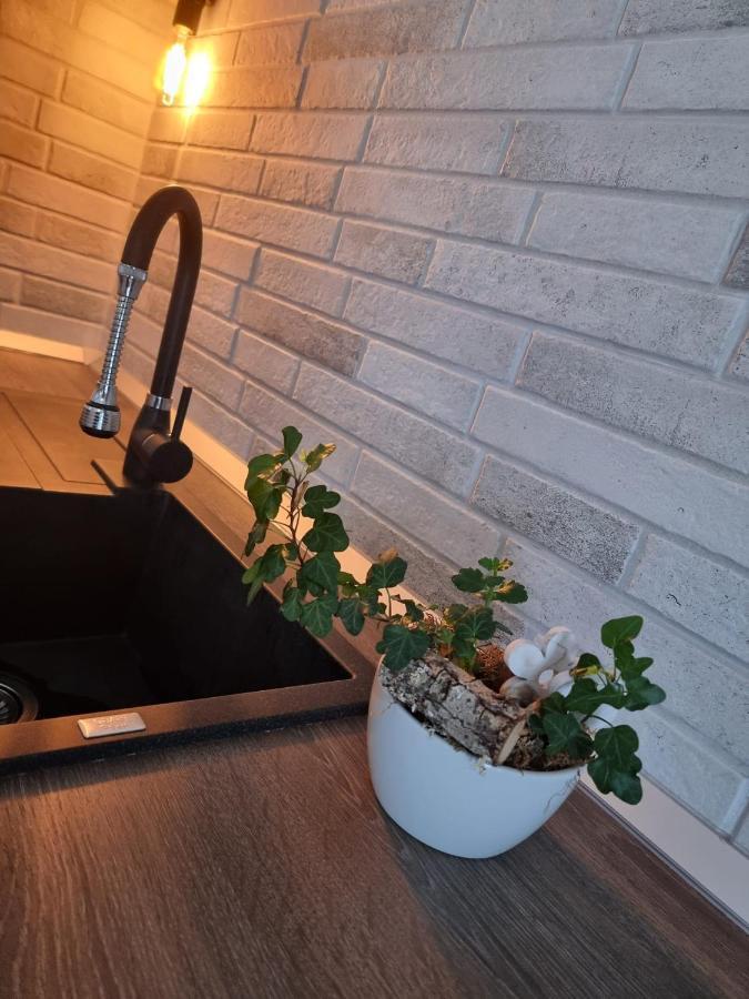 The Cozy Bunker Apartment ซีบิว ภายนอก รูปภาพ